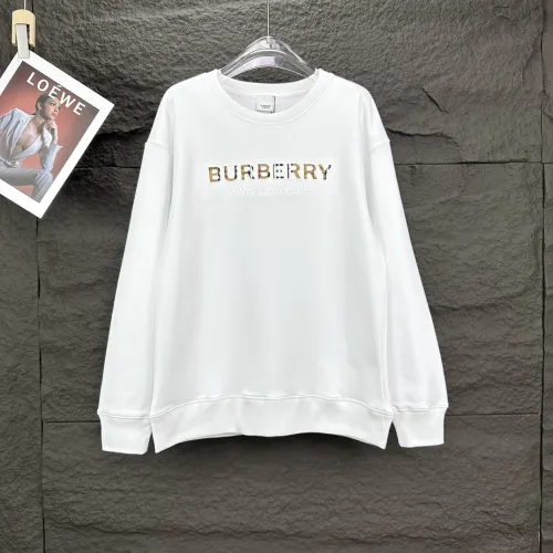 Burberry Hoodies for Men #B40600