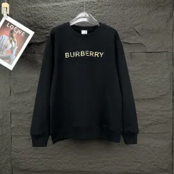 Burberry Hoodies for Men #B40601