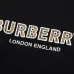 Burberry Hoodies for Men #B41321