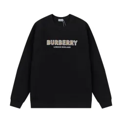 Burberry Hoodies for Men #B41321