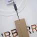 Burberry Hoodies for Men #B44116