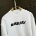 Burberry Hoodies for Men #B44507