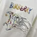 Burberry Hoodies for Men #B55193