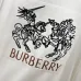 Burberry Hoodies for Men #B55228