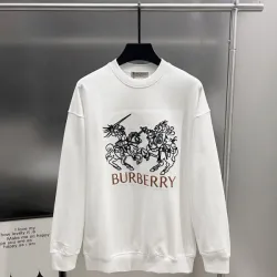 Burberry Hoodies for Men #B55228