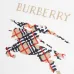 Burberry Hoodies for Men #B56465