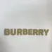 Burberry Hoodies for Men #B57177