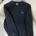 Burberry Hoodies for Men #B57181