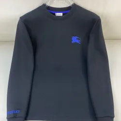 Burberry Hoodies for Men #B57181