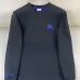 Burberry Hoodies for Men #B57181