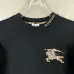Burberry Hoodies for Men #B57202
