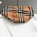 Burberry Hoodies for Men #B57535