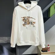 Burberry Hoodies for Men #B57540
