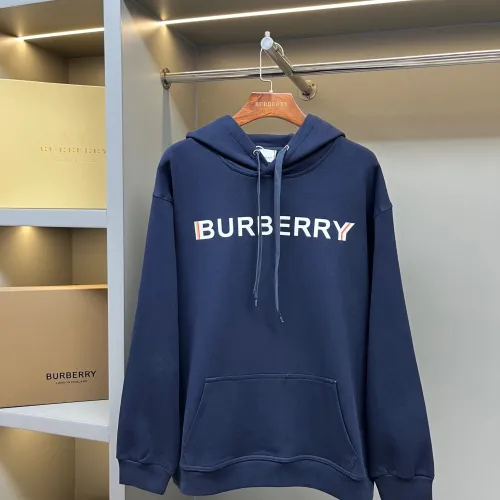Burberry Hoodies for Men #B58505