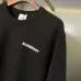 Burberry Hoodies for Men #B58511