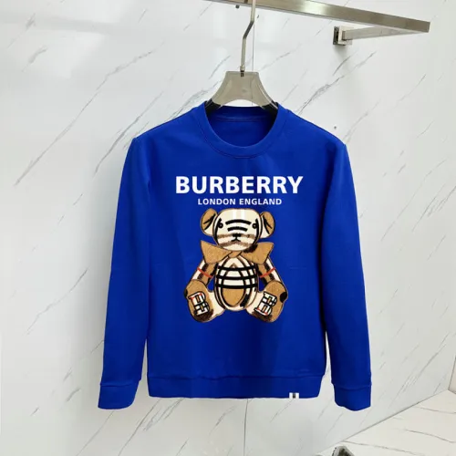 Burberry Hoodies for Men #B59143
