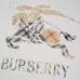 Burberry Hoodies for Men #B59444