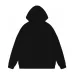 Celine Hoodies for Men Black/White/Blue/Purple #B54482