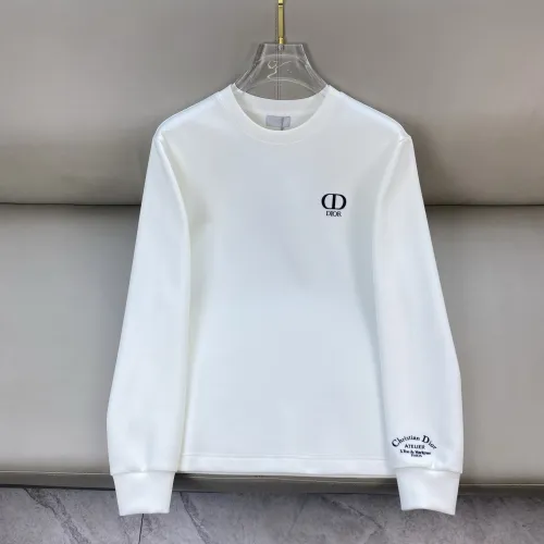 Dior hoodies for Dior hoodie for men #B57193