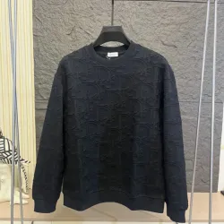 Dior hoodies for Dior hoodie for men #B57546