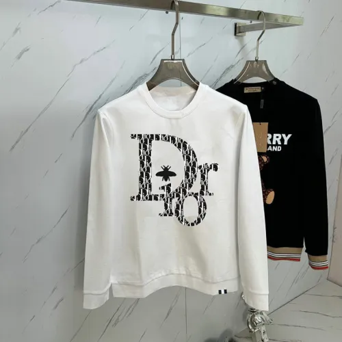 Dior hoodies for Dior hoodie for men #B59147