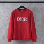Dior hoodies for Men Big size #99909884