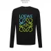 Loewe Hoodies #99915384
