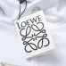 Loewe Hoodies #9999928735