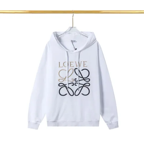 Loewe Hoodies #9999928735