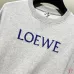 Loewe Hoodies #B54454