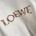 Loewe Hoodies #B55197