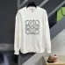 Loewe Hoodies #B55565