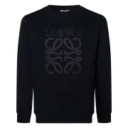 Loewe Hoodies #B56468 Loewe Hoodies #B56468