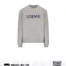 Loewe Hoodies for Men and women #B42328