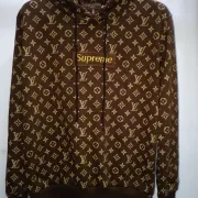 Louis Vuitton Hoodies for MEN #876407