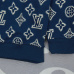 Louis Vuitton Hoodies for MEN #9999924629