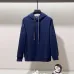 Louis Vuitton Hoodies for MEN Blue/White #B54682