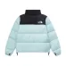 The North Face down jacket 1:1 Quality for Men/Women #999930403