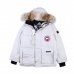 Canada goose jacket 19fw expedition wolf hairs 80% white duck down 1:1 quality Canada goose down coat #99901927
