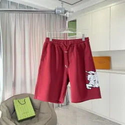 Burberry Pants for Burberry Short Pants for men #B53673