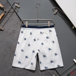 Burberry Pants for Burberry Short Pants for men swim trunks #B63496