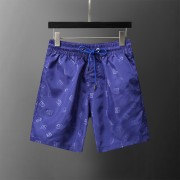 D&G Pants for D&G short pants for men #9999932305