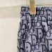 Dior Pants #B64544