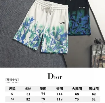 Dior Shorts #B66132