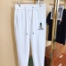 Louis Vuitton Pants for Louis Vuitton Long Pants #99919917
