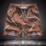 Louis Vuitton Short Pants for men  #996903