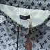 Louis Vuitton New beach shorts 1:1 Quality #B39138