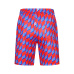 Louis Vuitton Pants for Louis Vuitton Short Pants for men #99924791