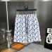 Louis Vuitton Pants for Louis Vuitton Short Pants for men #B34786