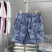 Louis Vuitton Pants for Louis Vuitton Short Pants for men #B35142